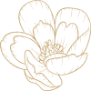 Decorative flower icon